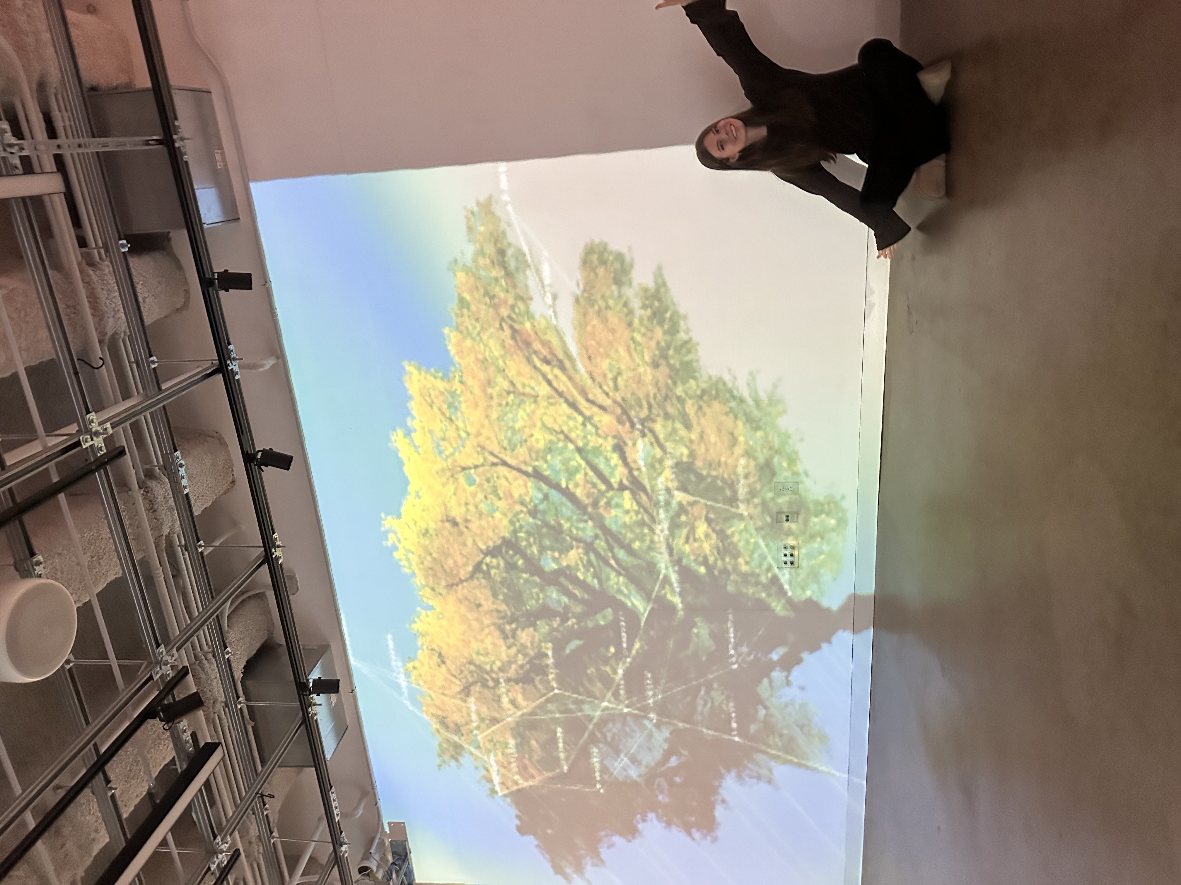 Tree of Life installation photo
